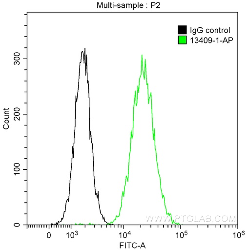 [13409-1-AP-20UL] Occludin Polyclonal antibody