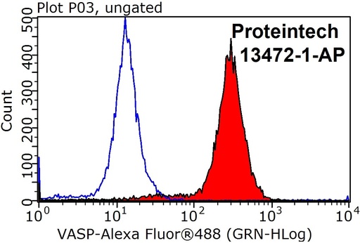 [13472-1-AP-150UL] VASP Polyclonal antibody