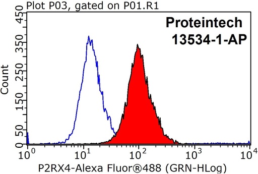 [13534-1-AP-20UL] P2RX4 Polyclonal antibody