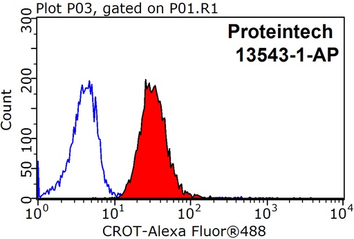[13543-1-AP-150UL] CROT Polyclonal antibody