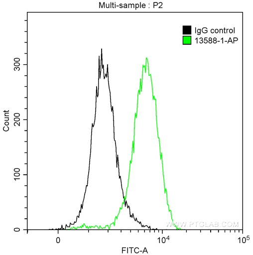 [13588-1-AP-150UL] Granzyme B Polyclonal antibody