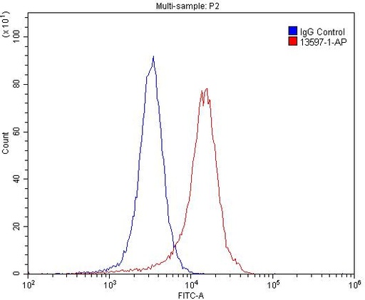 [13597-1-AP-20UL] GRIK2 Polyclonal antibody