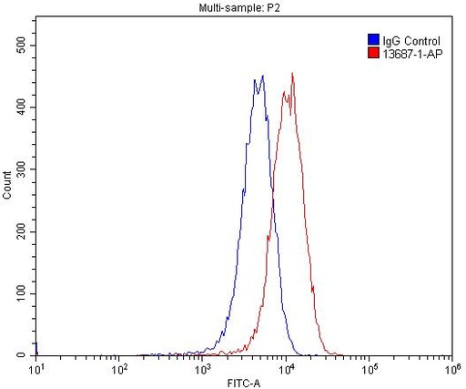 [13687-1-AP-150UL] VEGFR-1/FLT-1 Polyclonal antibody