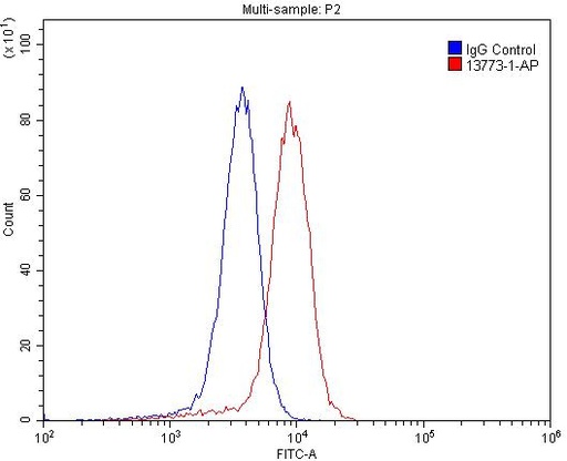 [13773-1-AP-20UL] P-cadherin Polyclonal antibody