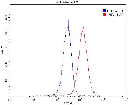 [13961-1-AP-150UL] PPFIBP1 Polyclonal antibody
