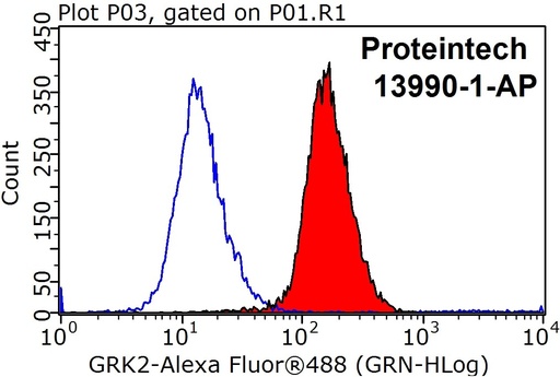 [13990-1-AP-150UL] GRK2 Polyclonal antibody