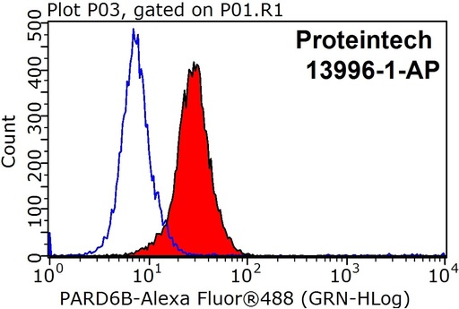 [13996-1-AP-150UL] PARD6B Polyclonal antibody