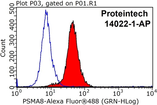 [14022-1-AP-20UL] PSMA8 Polyclonal antibody