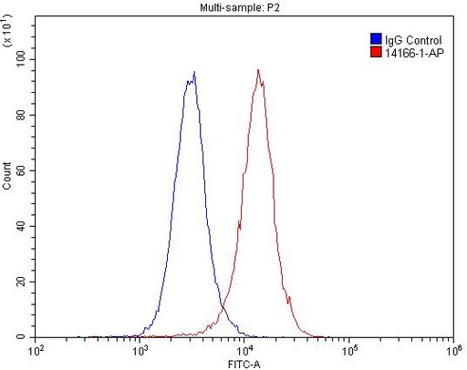 [14166-1-AP-20UL] PTH2R Polyclonal antibody