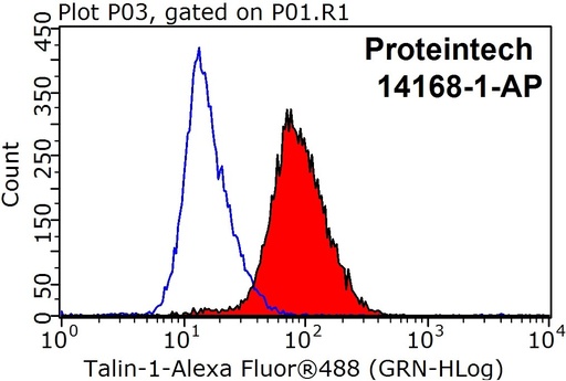 [14168-1-AP-20UL] Talin-1 Polyclonal antibody