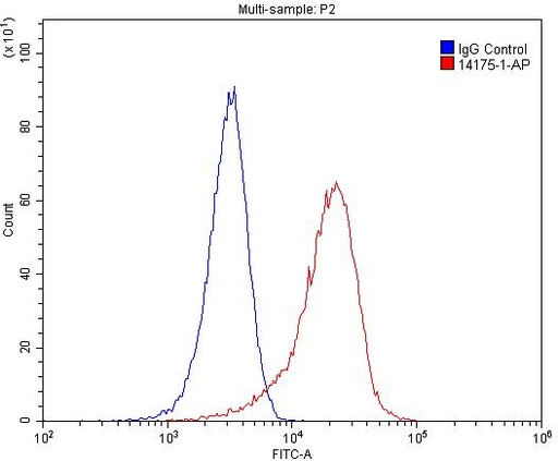 [14175-1-AP-20UL] Liprin Alpha 1 Polyclonal antibody