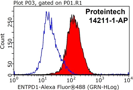 [14211-1-AP-20UL] CD39/ENTPD1 Polyclonal antibody