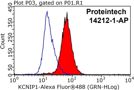 [14212-1-AP-150UL] KChIP1 Polyclonal antibody