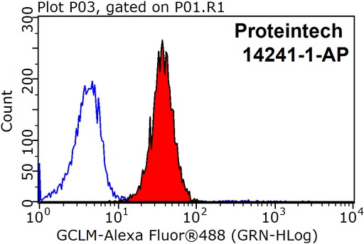 [14241-1-AP-150UL] GCLM Polyclonal antibody