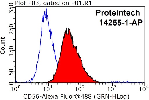 [14255-1-AP-150UL] NCAM1/CD56 Polyclonal antibody