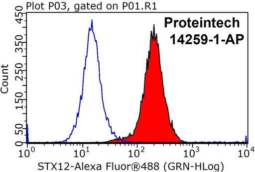 [14259-1-AP-150UL] Syntaxin 12 Polyclonal antibody