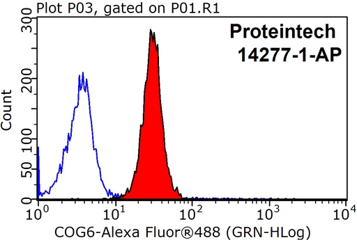 [14277-1-AP-150UL] COG6 Polyclonal antibody