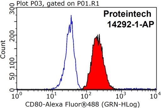 [14292-1-AP-150UL] CD80/B7-1 Polyclonal antibody