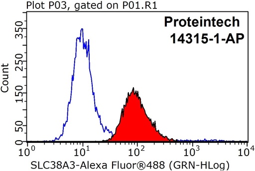 [14315-1-AP-150UL] SLC38A3 Polyclonal antibody