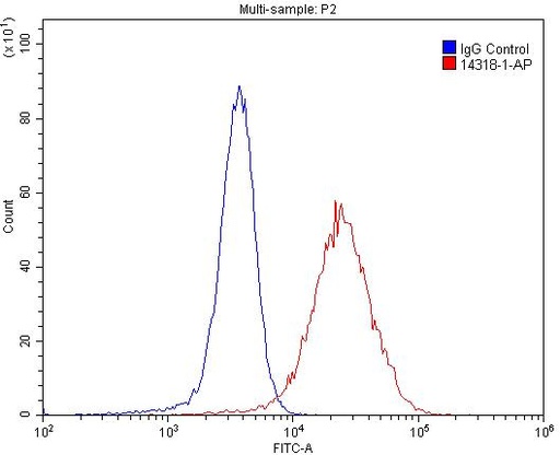 [14318-1-AP-150UL] Thrombomodulin Polyclonal antibody