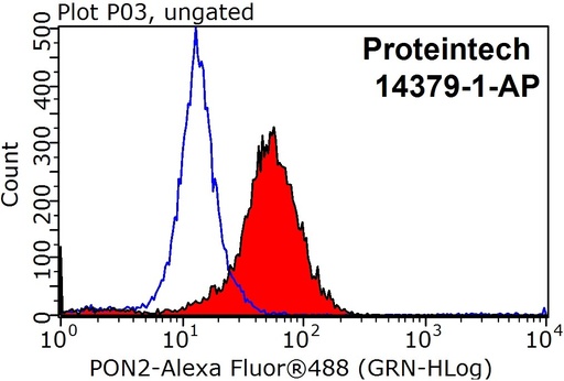 [14379-1-AP-150UL] PON2 Polyclonal antibody