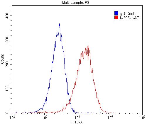 [14395-1-AP-20UL] smooth muscle actin Polyclonal antibody