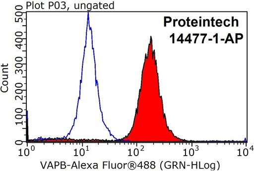 [14477-1-AP-20UL] VAPB Polyclonal antibody