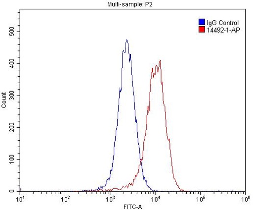 [14492-1-AP-150UL] HBXIP Polyclonal antibody