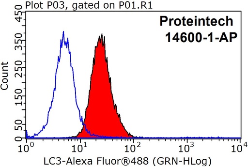 [14600-1-AP-150UL] LC3 Polyclonal antibody