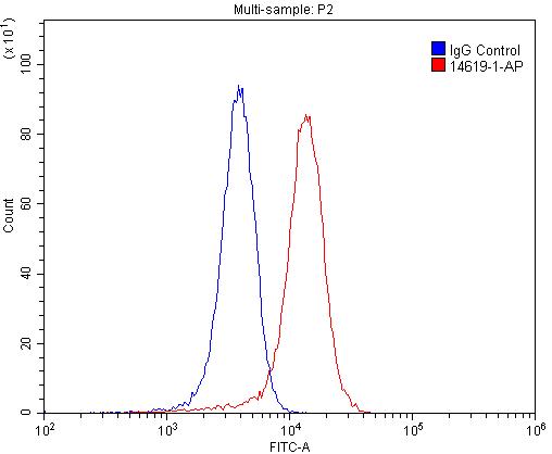 [14619-1-AP-150UL] NMUR1 Polyclonal antibody