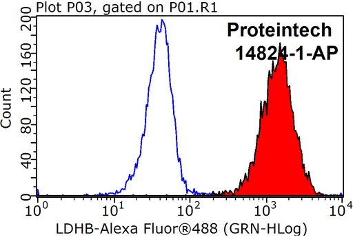 [14824-1-AP-150UL] LDHB Polyclonal antibody