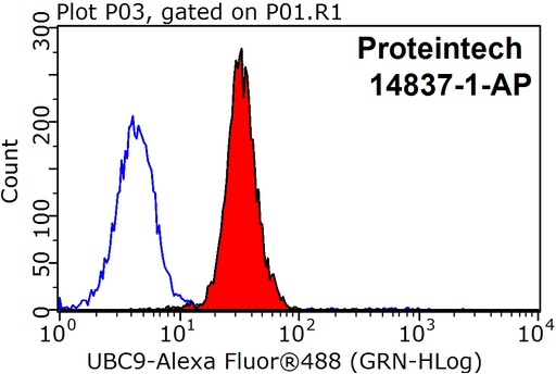 [14837-1-AP-150UL] UBC9-Specific Polyclonal antibody