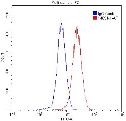 [14851-1-AP-150UL] CUL4A-Specific Polyclonal antibody