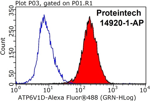 [14920-1-AP-150UL] ATP6V1D Polyclonal antibody