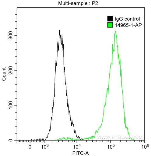 [14965-1-AP-20UL] Cytokeratin 19 Polyclonal antibody