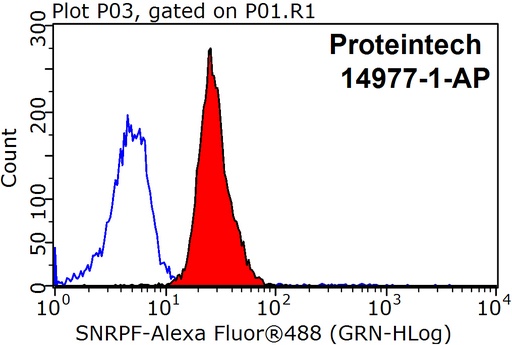 [14977-1-AP-150UL] SNRPF Polyclonal antibody