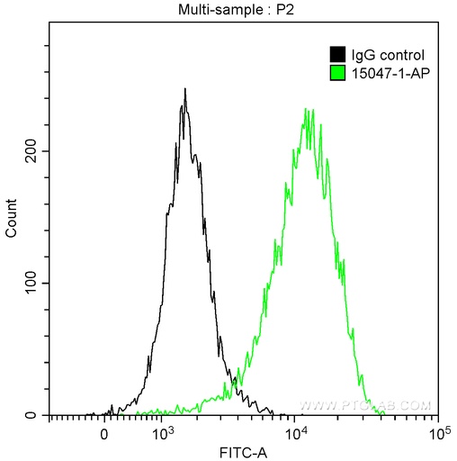 [15047-1-AP-150UL] Thymidylate synthase Polyclonal antibody