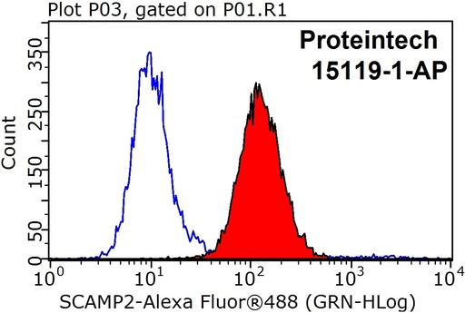 [15119-1-AP-20UL] SCAMP2 Polyclonal antibody