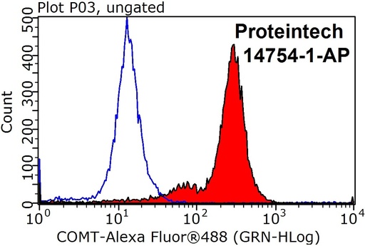 [14754-1-AP-20UL] COMT Polyclonal antibody