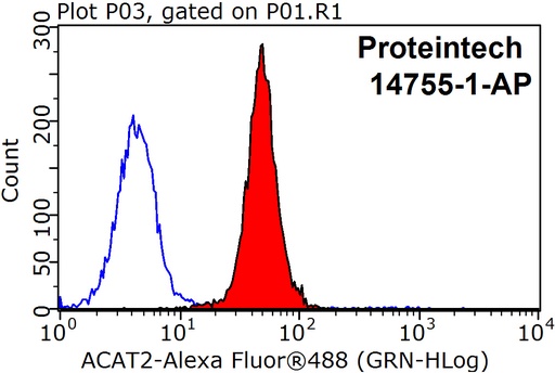 [14755-1-AP-150UL] ACAT2 Polyclonal antibody