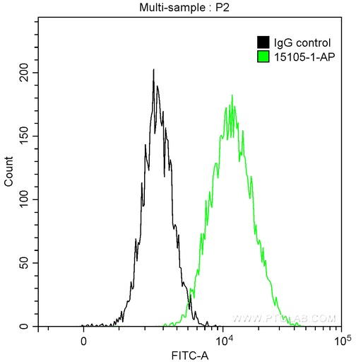 [15105-1-AP-150UL] RABEPK/p40 Polyclonal antibody
