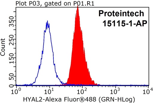 [15115-1-AP-150UL] HYAL2 Polyclonal antibody