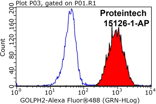 [15126-1-AP-150UL] GP73/GOLPH2 Polyclonal antibody
