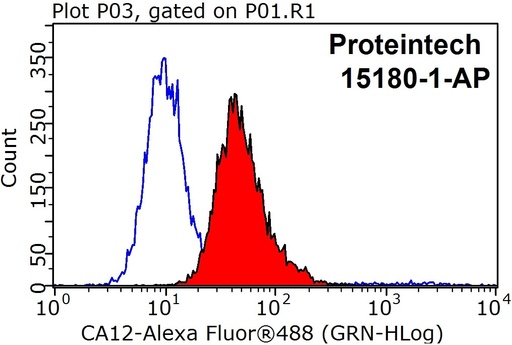 [15180-1-AP-20UL] CA12 Polyclonal antibody