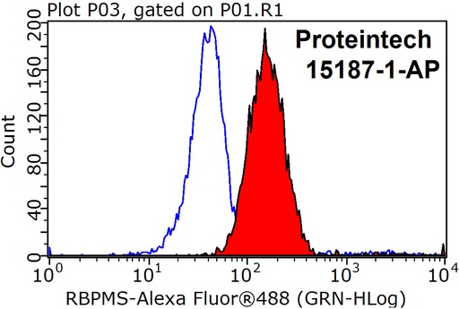 [15187-1-AP-150UL] RBPMS Polyclonal antibody