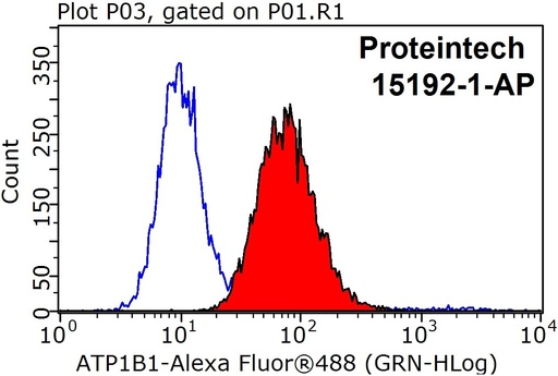 [15192-1-AP-150UL] ATP1B1 Polyclonal antibody