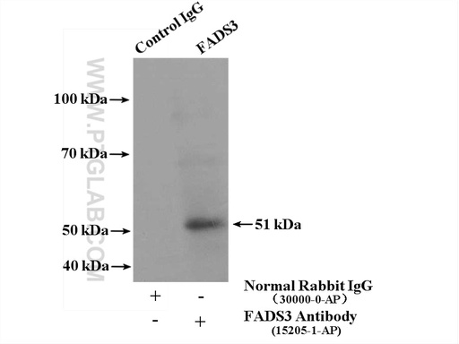 [15205-1-AP-150UL] FADS3 Polyclonal antibody
