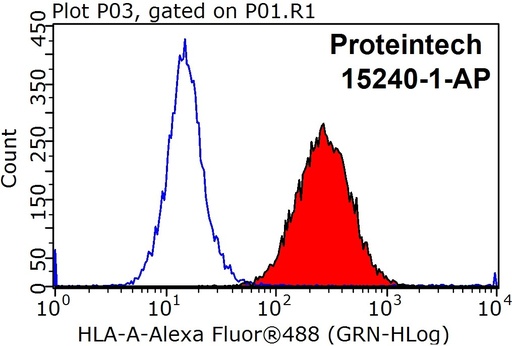 [15240-1-AP-20UL] HLA class I ABC Polyclonal antibody