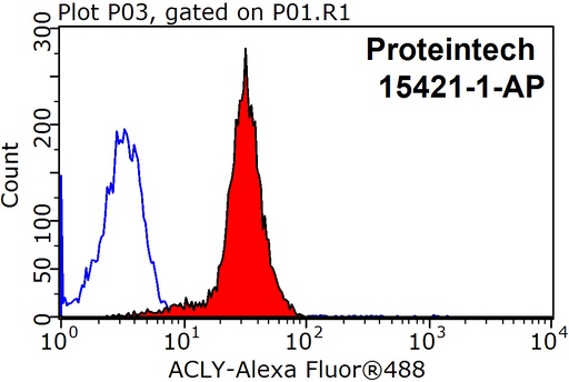 [15421-1-AP-150UL] ACLY Polyclonal antibody
