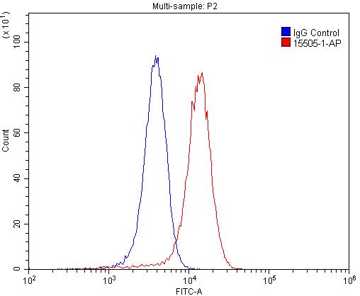 [15505-1-AP-150UL] KISS1R-Specific Polyclonal antibody